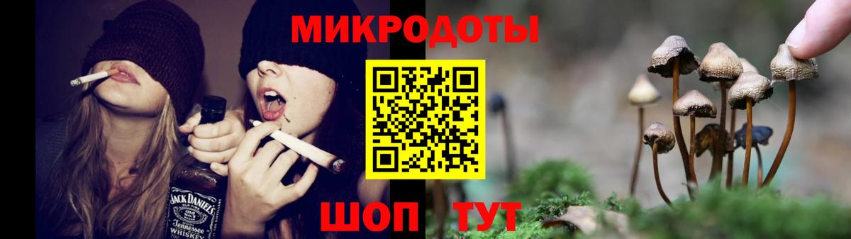 Алушта  Галлюциногенные грибы мухоморы  купить наркотик  Вход с VPN 
