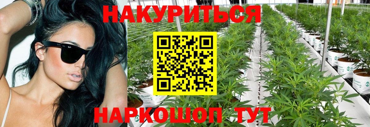 Конопля индика Алушта